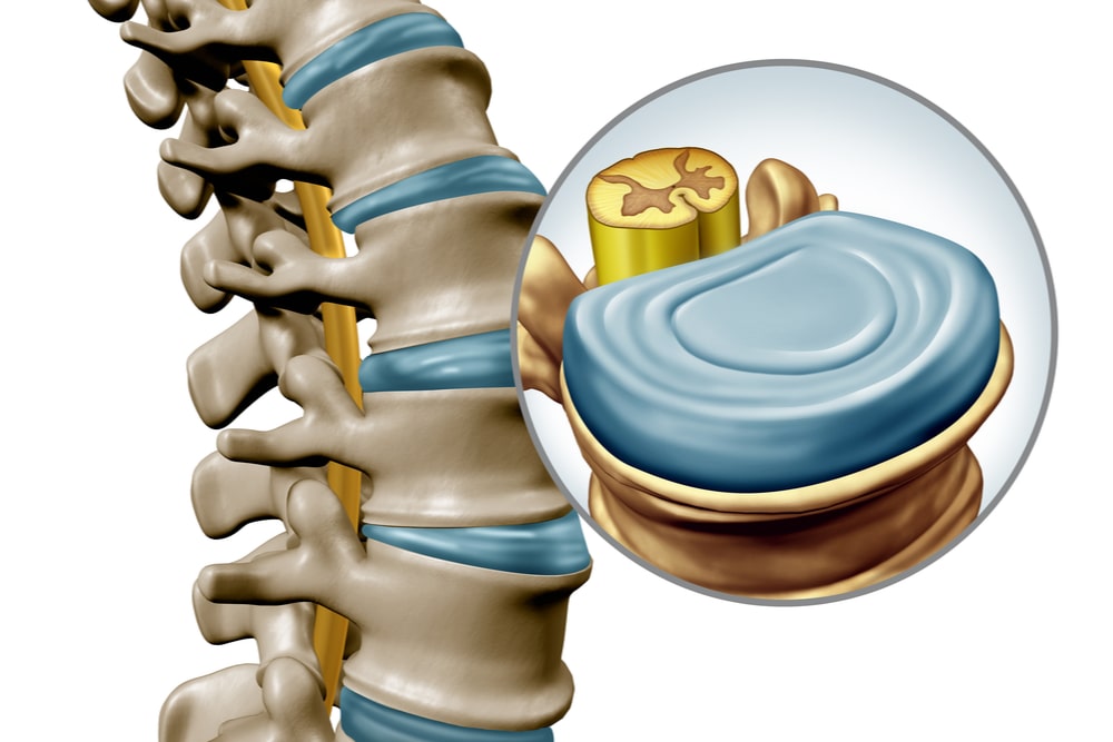 Lumbar spine disk anatomy segment medical concept